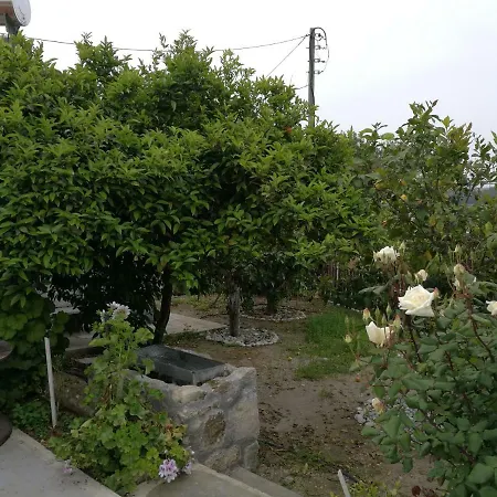 Elena's Traditional Village * Theologos (Rhodes)